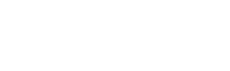 Fittich Logo