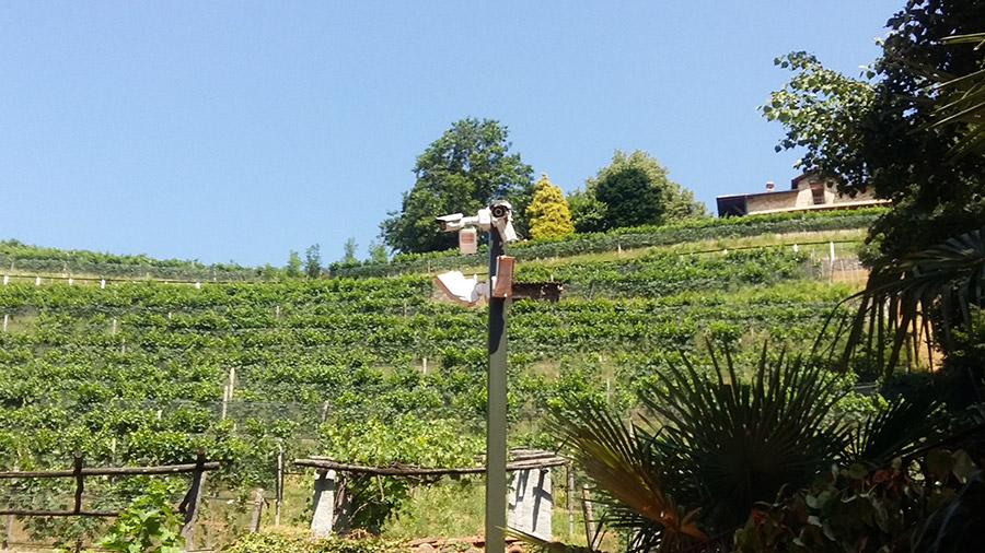 Villa storica di Porza image 2